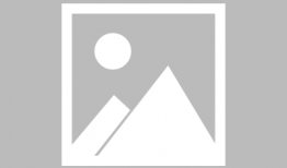 vore视频,VORE视频深度解析